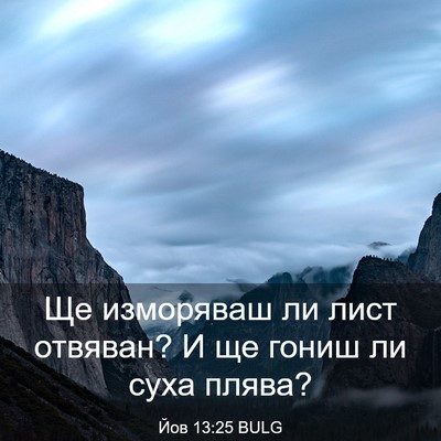 Picture 03 - Йов 13:25 BULG - Ще изморяваш ли лист - Bible Verse Picture