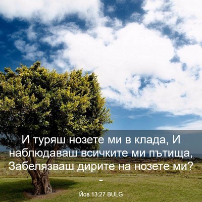 Picture 03 - Йов 13:27 BULG - И туряш нозете ми в клада, И - Bible Verse Picture