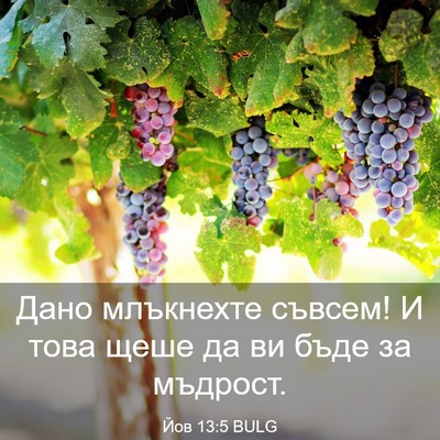 Picture 03 - Йов 13:5 BULG - Дано млъкнехте съвсем! И - Bible Verse Picture