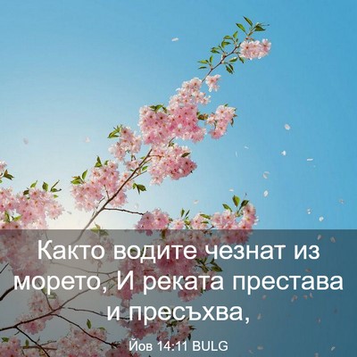 Picture 03 - Йов 14:11 BULG - Както водите чезнат из - Bible Verse Picture