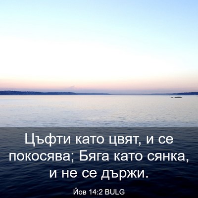 Picture 03 - Йов 14:2 BULG - Цъфти като цвят, и се - Bible Verse Picture