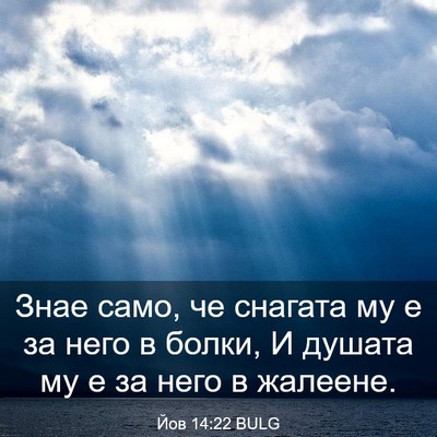 Picture 03 - Йов 14:22 BULG - Знае само, че снагата му е - Bible Verse Picture