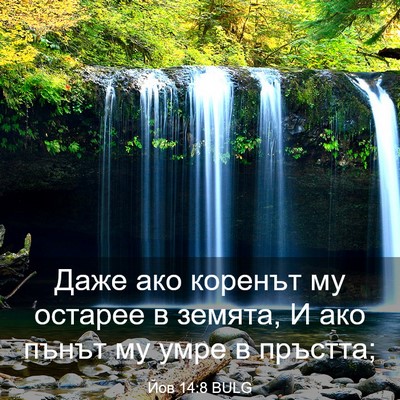 Picture 03 - Йов 14:8 BULG - Даже ако коренът му - Bible Verse Picture
