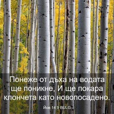 Picture 03 - Йов 14:9 BULG - Понеже от дъха на водата ще - Bible Verse Picture