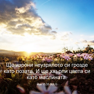 Picture 03 - Йов 15:33 BULG - Ще изрони неузрялото си - Bible Verse Picture