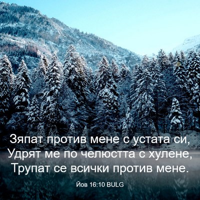 Picture 03 - Йов 16:10 BULG - Зяпат против мене с устата - Bible Verse Picture