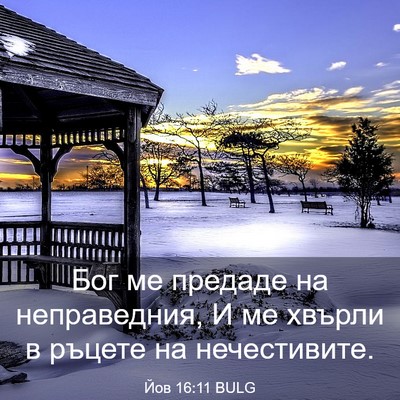 Picture 03 - Йов 16:11 BULG - Бог ме предаде на - Bible Verse Picture