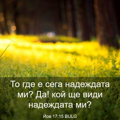 Picture 03 - Йов 17:15 BULG - То где е сега надеждата ми? - Bible Verse Picture