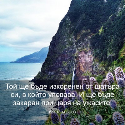 Picture 03 - Йов 18:14 BULG - Той ще бъде изкоренен от - Bible Verse Picture