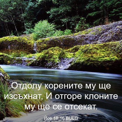 Picture 03 - Йов 18:16 BULG - Отдолу корените му ще - Bible Verse Picture