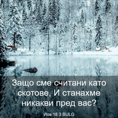 Picture 03 - Йов 18:3 BULG - Защо сме считани като - Bible Verse Picture