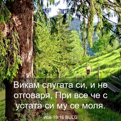 Picture 03 - Йов 19:16 BULG - Викам слугата си, и не - Bible Verse Picture