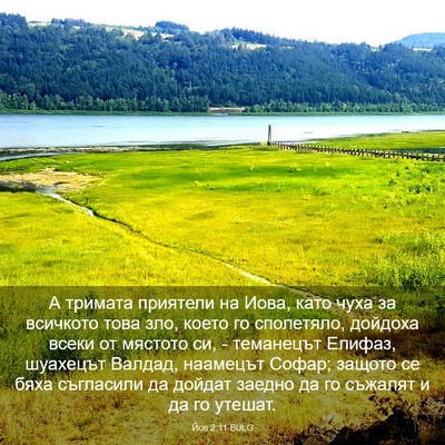 Picture 03 - Йов 2:11 BULG - А тримата приятели на Иова, - Bible Verse Picture