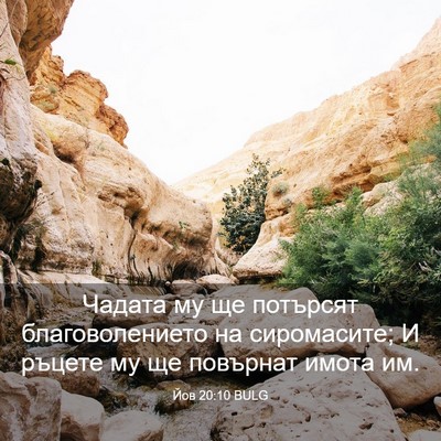 Picture 03 - Йов 20:10 BULG - Чадата му ще потърсят - Bible Verse Picture