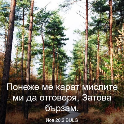 Picture 03 - Йов 20:2 BULG - Понеже ме карат мислите ми - Bible Verse Picture