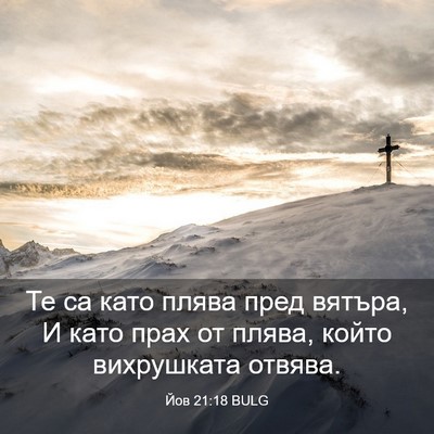Picture 03 - Йов 21:18 BULG - Те са като плява пред - Bible Verse Picture