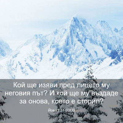 Picture 03 - Йов 21:31 BULG - Кой ще изяви пред лицето му - Bible Verse Picture