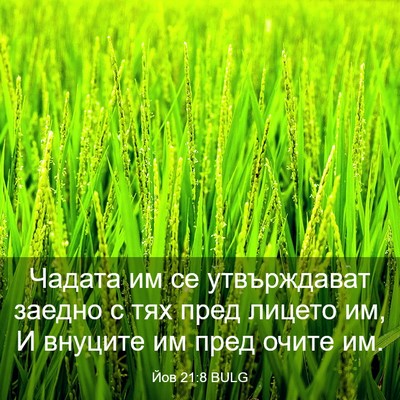 Picture 03 - Йов 21:8 BULG - Чадата им се утвърждават - Bible Verse Picture