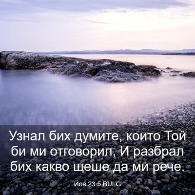 Picture 03 - Йов 23:5 BULG - Узнал бих думите, които Той - Bible Verse Picture