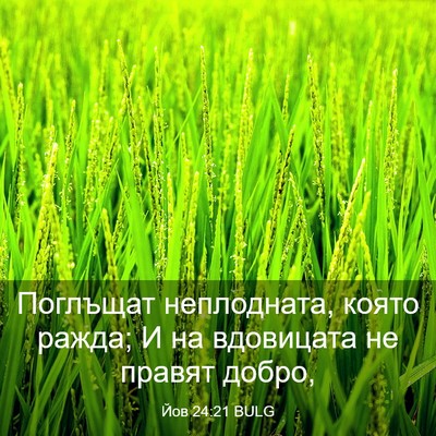 Picture 03 - Йов 24:21 BULG - Поглъщат неплодната, която - Bible Verse Picture