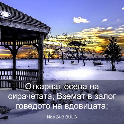Picture 03 - Йов 24:3 BULG - Откарват осела на - Bible Verse Picture