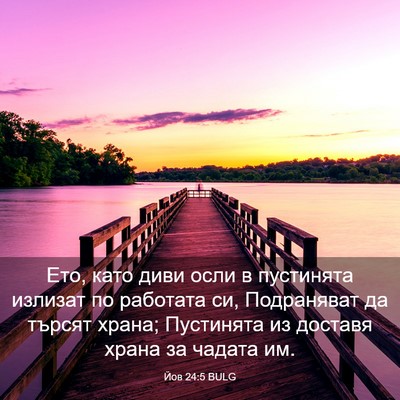 Picture 03 - Йов 24:5 BULG - Ето, като диви осли в - Bible Verse Picture