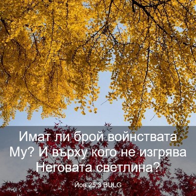 Picture 03 - Йов 25:3 BULG - Имат ли брой войнствата Му? - Bible Verse Picture