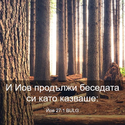 Picture 03 - Йов 27:1 BULG - И Иов продължи беседата си - Bible Verse Picture