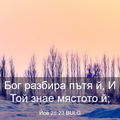 Picture 03 - Йов 28:23 BULG - Бог разбира пътя й, И Той - Bible Verse Picture