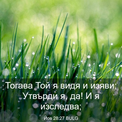 Picture 03 - Йов 28:27 BULG - Тогава Той я видя и изяви; - Bible Verse Picture