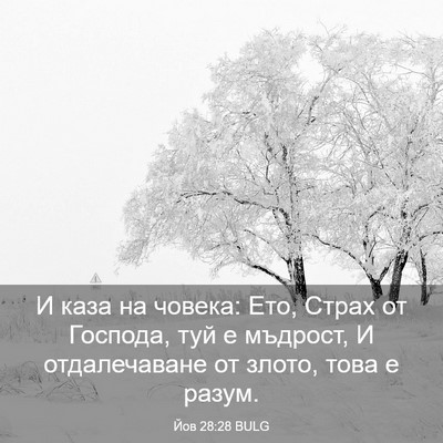 Picture 03 - Йов 28:28 BULG - И каза на човека: Ето, Страх - Bible Verse Picture