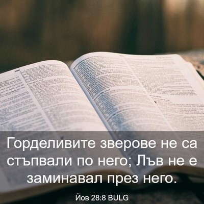 Picture 03 - Йов 28:8 BULG - Горделивите зверове не са - Bible Verse Picture