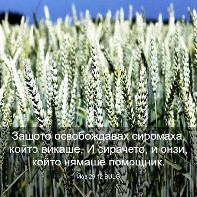 Picture 03 - Йов 29:12 BULG - Защото освобождавах - Bible Verse Picture