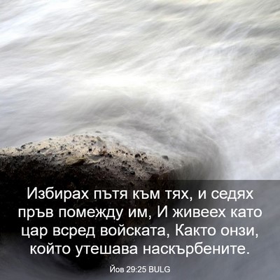 Picture 03 - Йов 29:25 BULG - Избирах пътя към тях, и - Bible Verse Picture