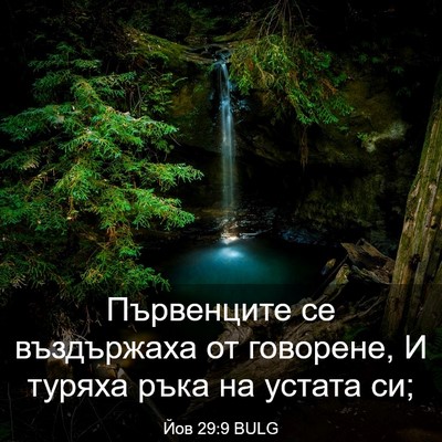 Picture 03 - Йов 29:9 BULG - Първенците се въздържаха - Bible Verse Picture
