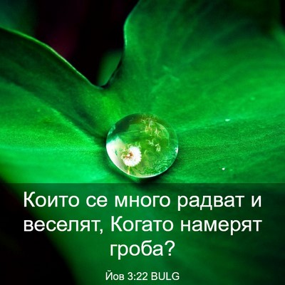 Picture 03 - Йов 3:22 BULG - Които се много радват и - Bible Verse Picture