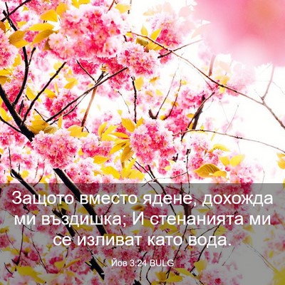 Picture 03 - Йов 3:24 BULG - Защото вместо ядене, - Bible Verse Picture