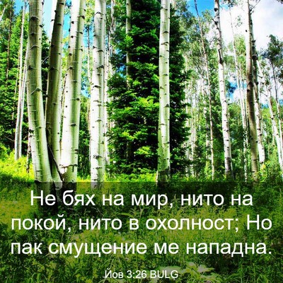 Picture 03 - Йов 3:26 BULG - Не бях на мир, нито на - Bible Verse Picture