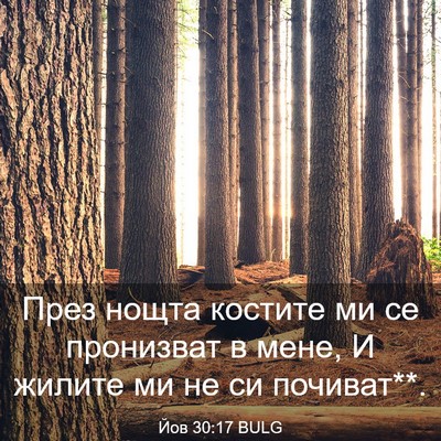 Picture 03 - Йов 30:17 BULG - През нощта костите ми се - Bible Verse Picture