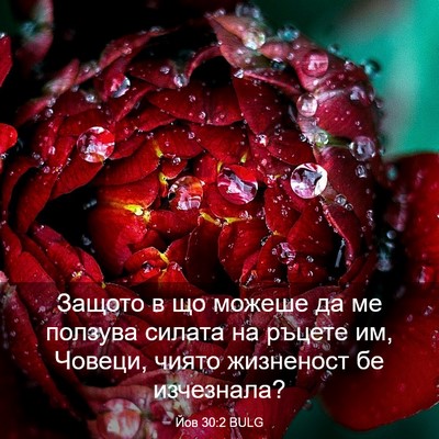 Picture 03 - Йов 30:2 BULG - Защото в що можеше да ме - Bible Verse Picture