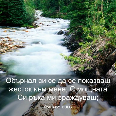 Picture 03 - Йов 30:21 BULG - Обърнал си се да се - Bible Verse Picture