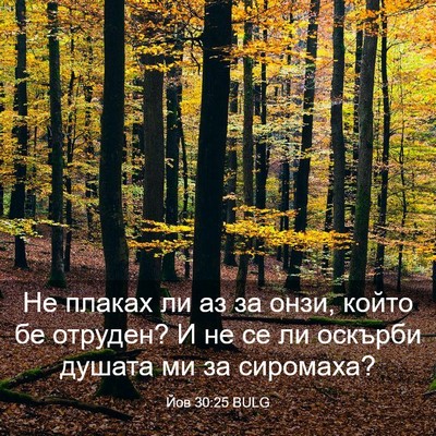 Picture 03 - Йов 30:25 BULG - Не плаках ли аз за онзи, - Bible Verse Picture