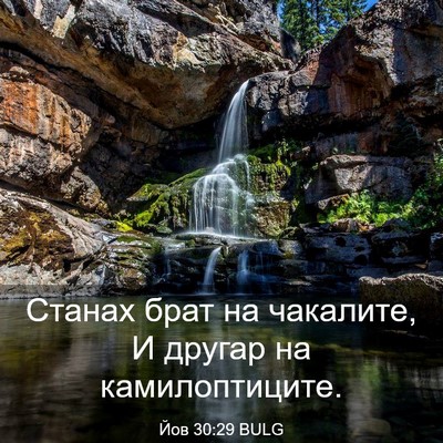 Picture 03 - Йов 30:29 BULG - Станах брат на чакалите, И - Bible Verse Picture