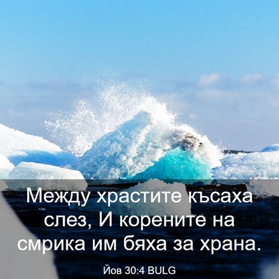Picture 03 - Йов 30:4 BULG - Между храстите късаха - Bible Verse Picture