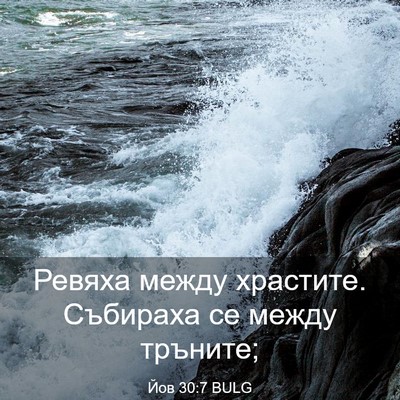 Picture 03 - Йов 30:7 BULG - Ревяха между храстите. - Bible Verse Picture