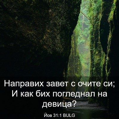 Picture 03 - Йов 31:1 BULG - Направих завет с очите си; - Bible Verse Picture