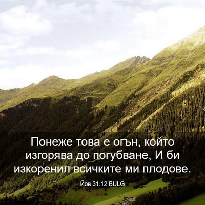 Picture 03 - Йов 31:12 BULG - Понеже това е огън, който - Bible Verse Picture
