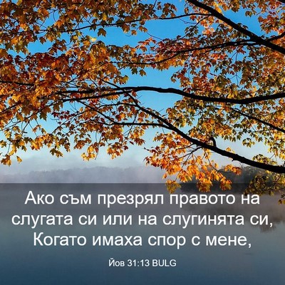 Picture 03 - Йов 31:13 BULG - Ако съм презрял правото на - Bible Verse Picture