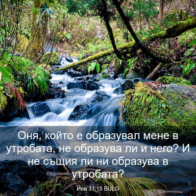 Picture 03 - Йов 31:15 BULG - Оня, който е образувал мене - Bible Verse Picture