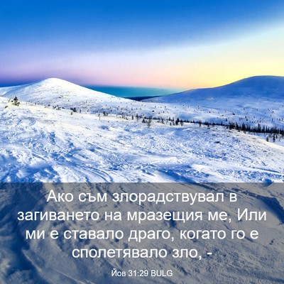 Picture 03 - Йов 31:29 BULG - Ако съм злорадствувал в - Bible Verse Picture